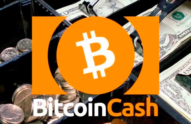 Especialista em criptomoedas diz que Bitcoin Cash deve "morrer" para que a rede entre num acordo de paz