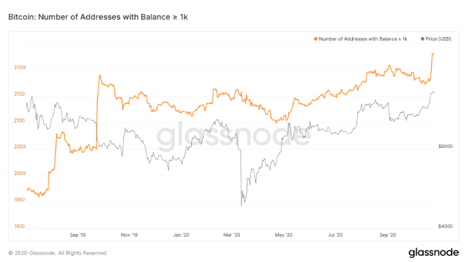 Bitcoin Bitcoin