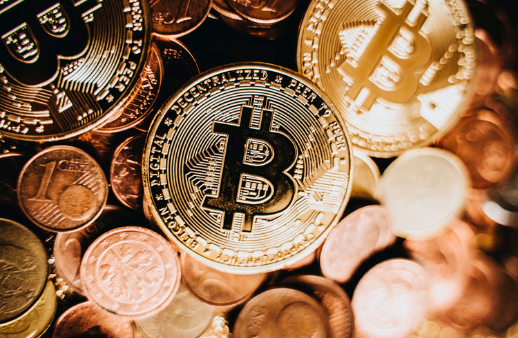 miglior corso di trading bitcoin
