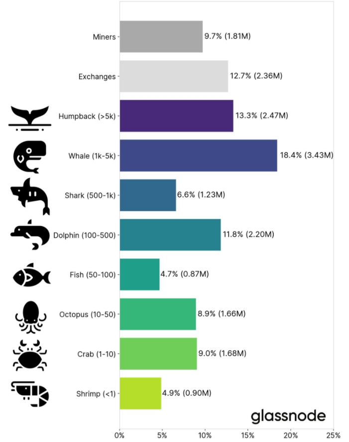 Diversidade de endereços de Bitcoin. Fonte: Meltem Demirors/Glassnode Diversidade de endereços de Bitcoin. Fonte: Meltem Demirors/Glassnode