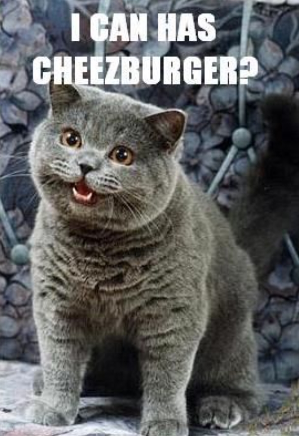 "Posso comer um cheeseburger?". Fonte: Opensea "Posso comer um cheeseburger?". Fonte: Opensea